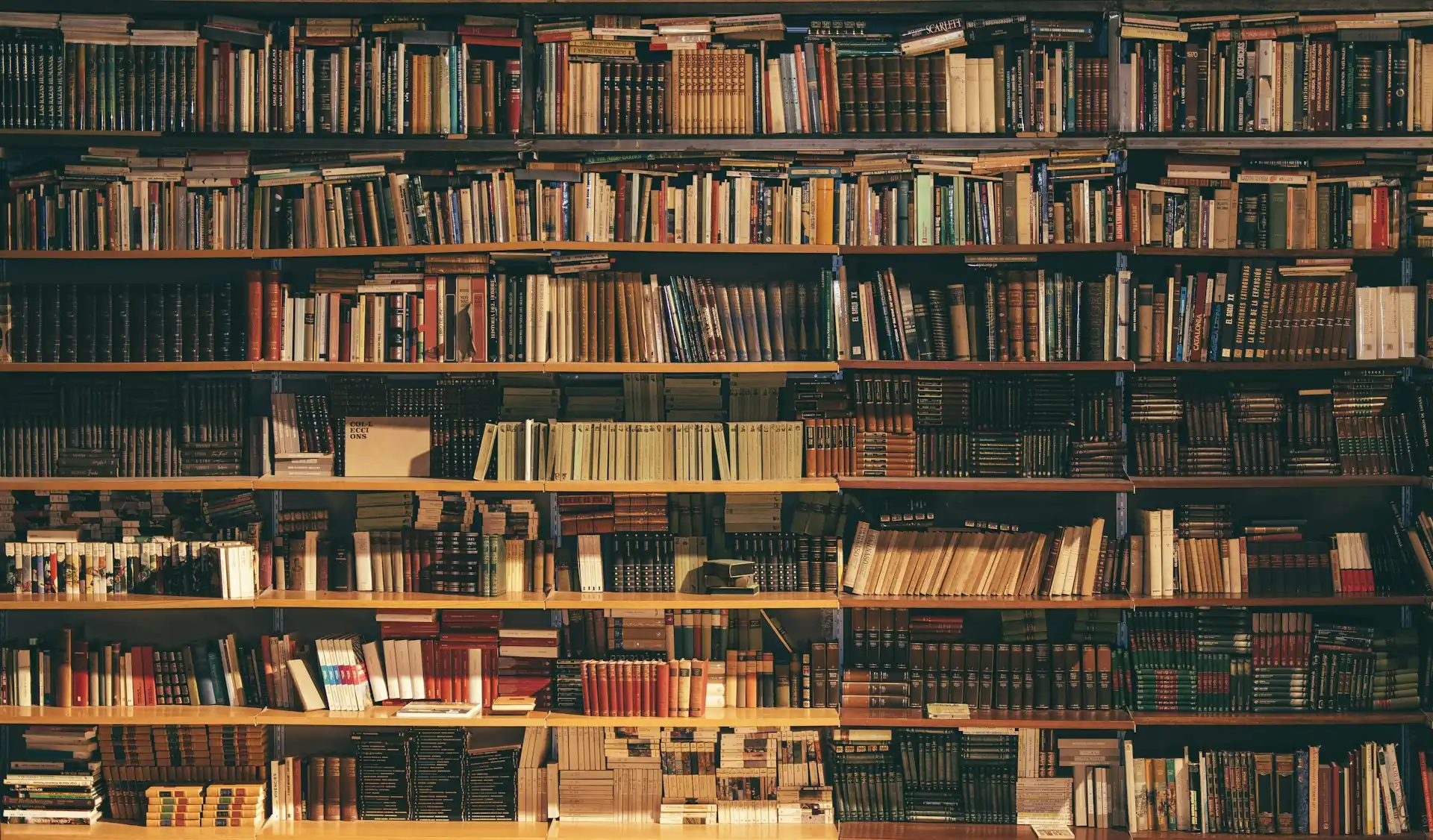 Do we need to test our employees' AI knowledge under Article 4?